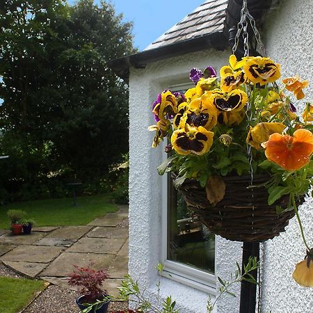 Druminoch Angus Exterior photo