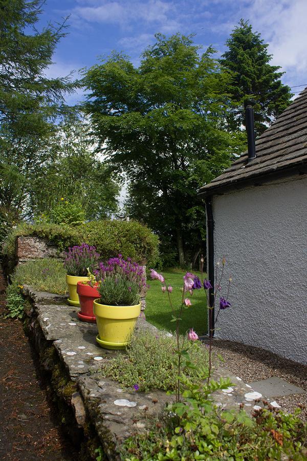 Druminoch Angus Exterior photo